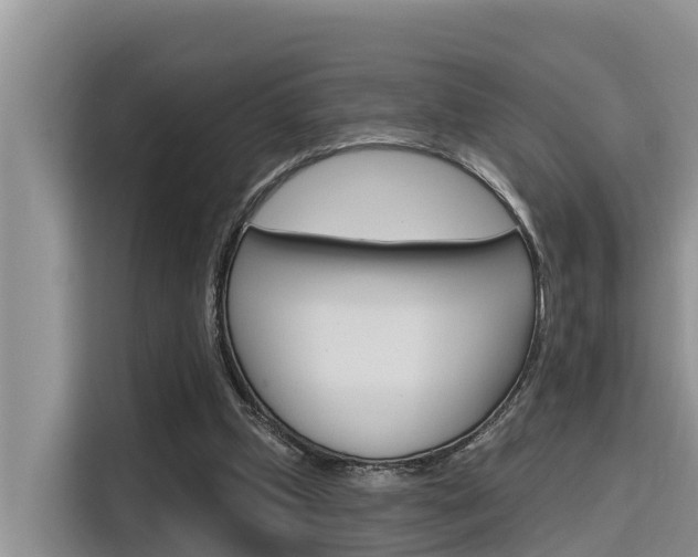 X0000116340249200912011024