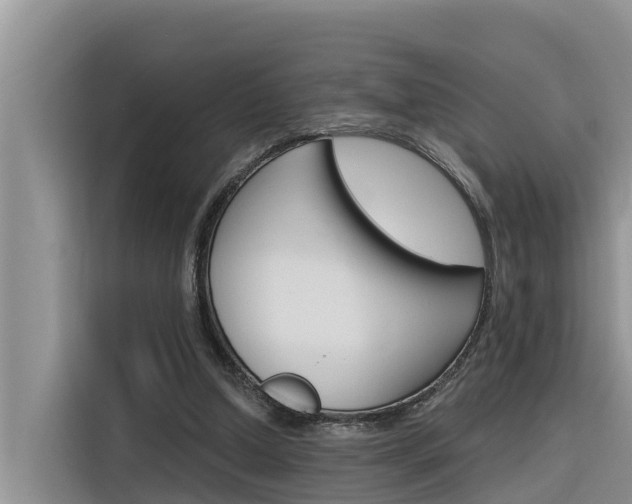X0000116340250200912011024