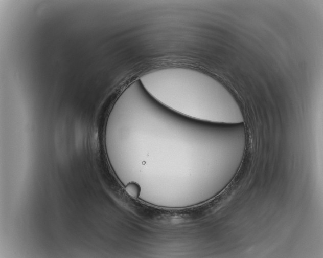 X0000116340254200912011024