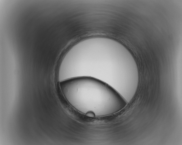 X0000116340256200912011024