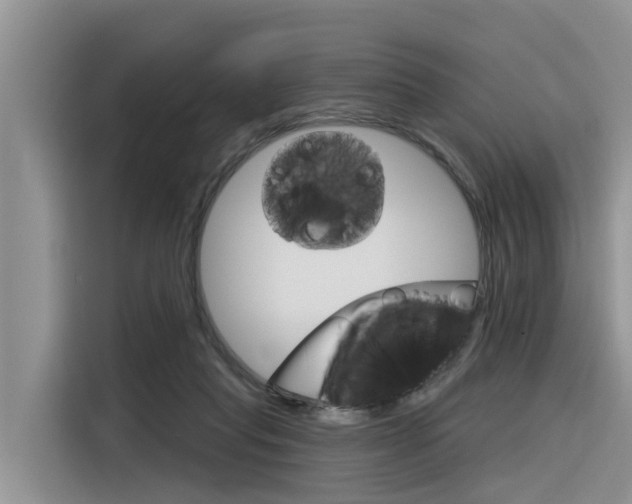 X0000116340261200912011024