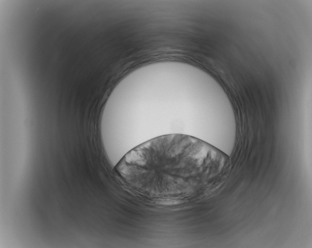 X0000116340263200912011024