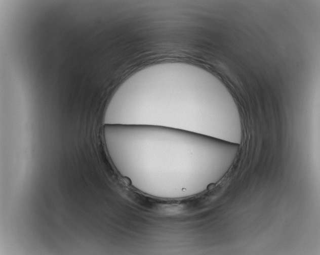 X0000116340266200912011024