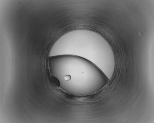 X0000116340268200912011024