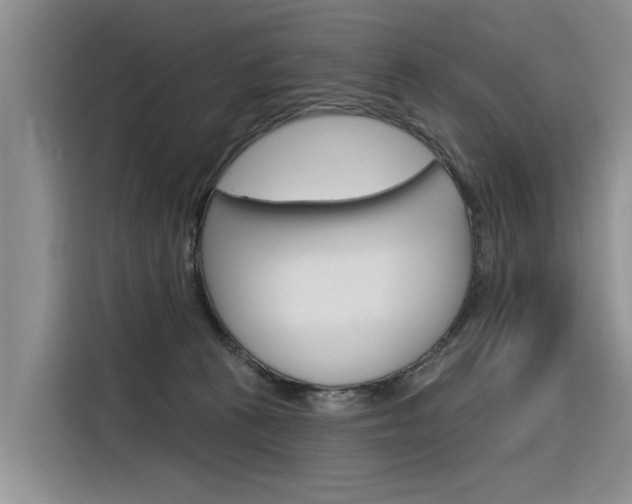 X0000116340273200912011024
