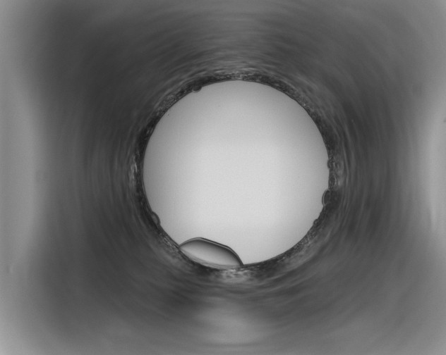X0000116340279200912011024