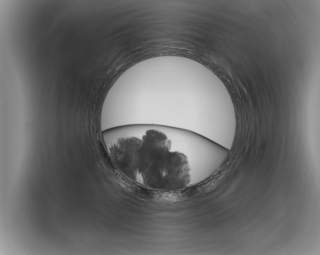 X0000116340282200912011024