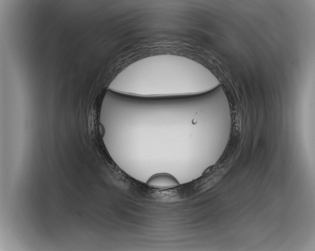 X0000116340283200912011024