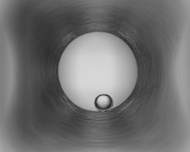 X0000116340288200912011024