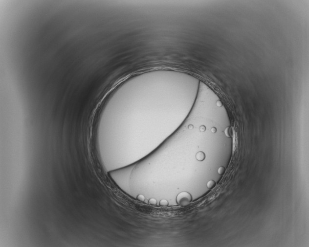 X0000116340291200912011024