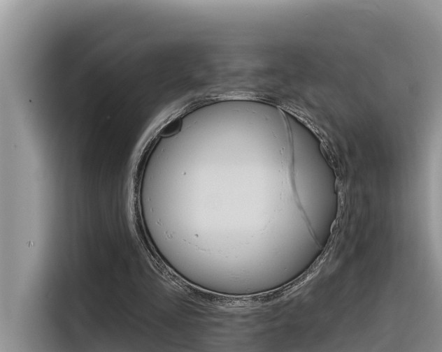 X0000116340293200912011024
