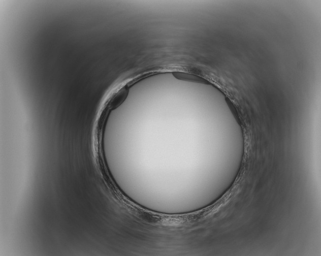 X0000116340294200912011024
