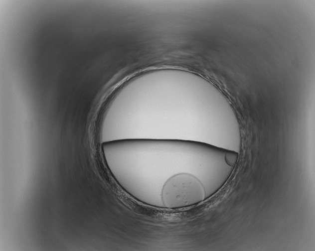 X0000116340295200912011024
