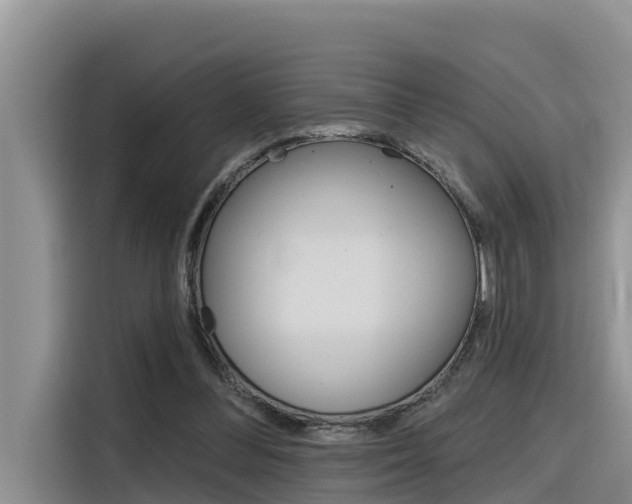 X0000116340300200912011024