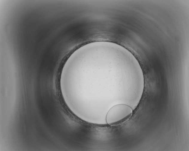X0000116340302200912011024