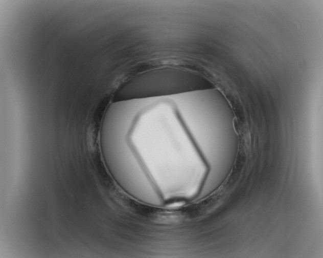X0000116340316200912011023