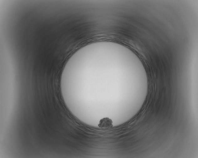 X0000116340317200912011023