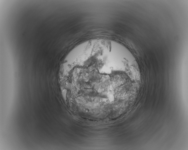 X0000116340321200912011023