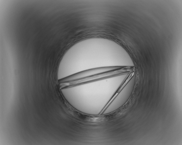 X0000116340323200912011023