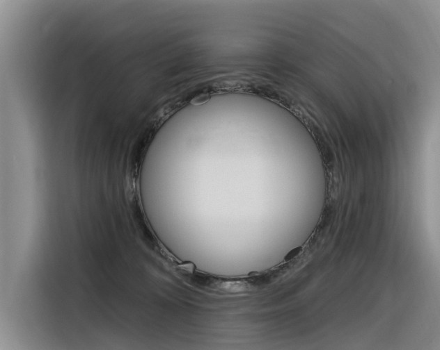 X0000116340324200912011023