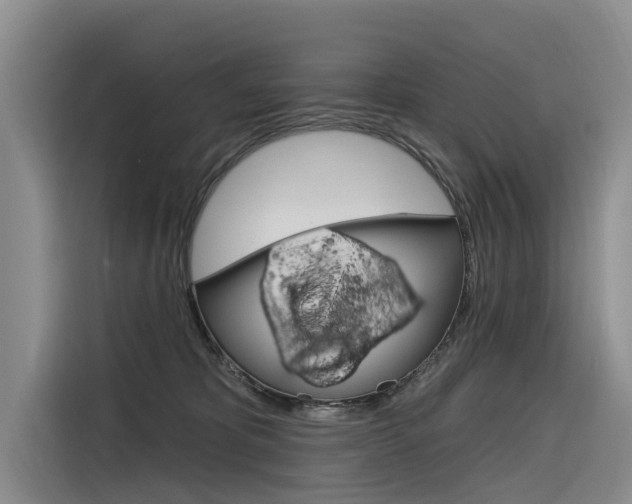 X0000116340325200912011023