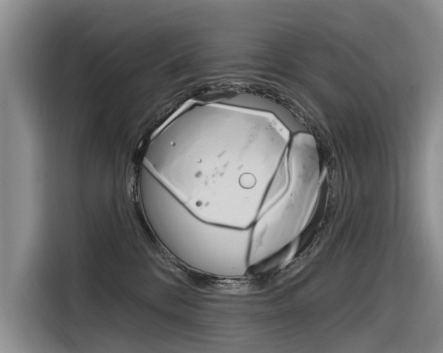 X0000116340328200912011023