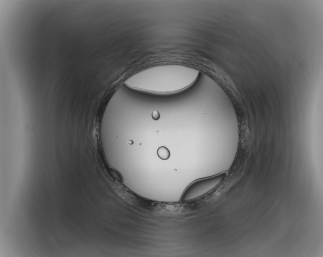 X0000116340329200912011023