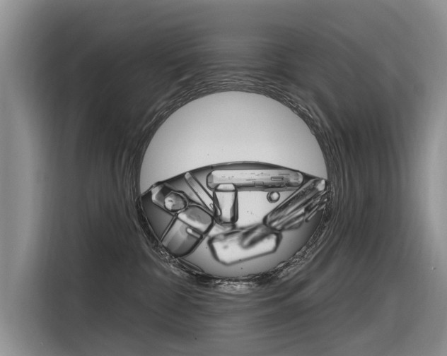 X0000116340332200912011023