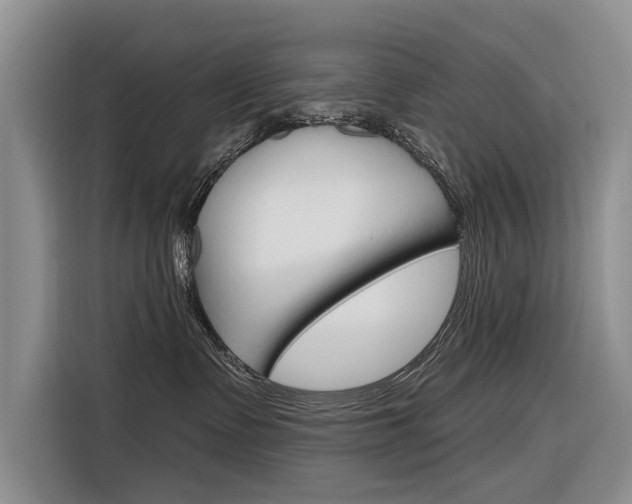 X0000116340335200912011023