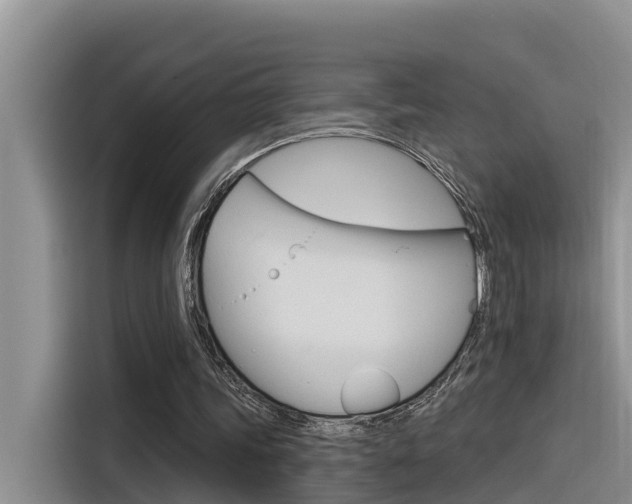 X0000116340339200912011023