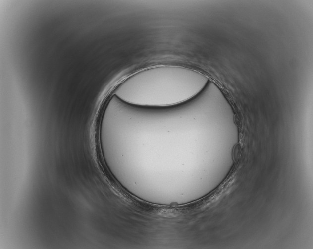 X0000116340341200912011023