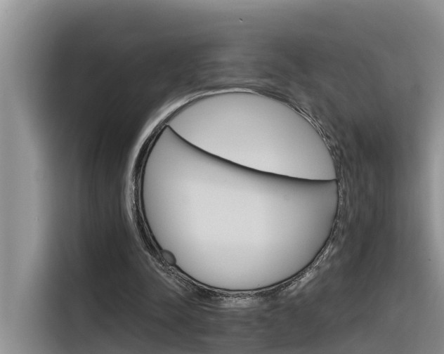 X0000116340342200912011023