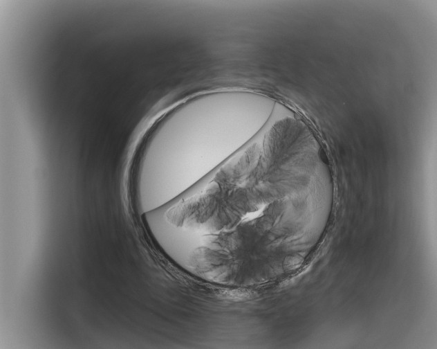 X0000116340343200912011023
