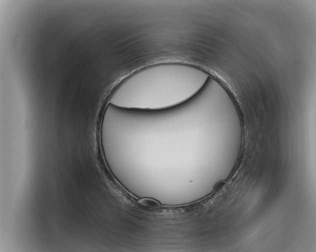 X0000116340345200912011023