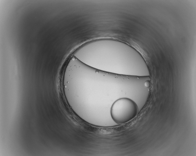 X0000116340346200912011023