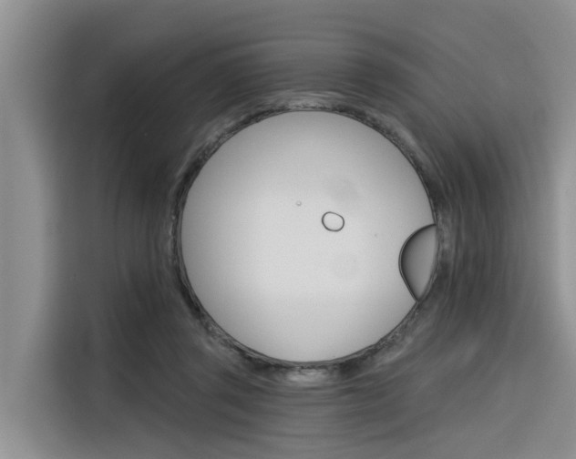 X0000116340357200912011023