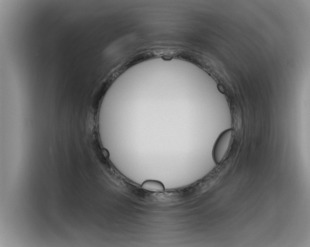X0000116340367200912011023