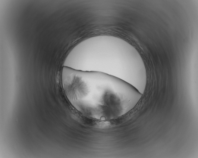 X0000116340374200912011023