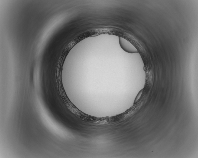 X0000116340381200912011023