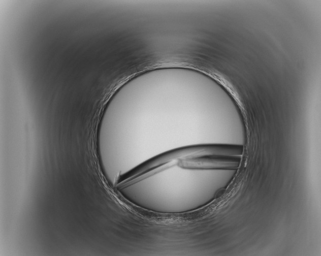 X0000116340385200912011022