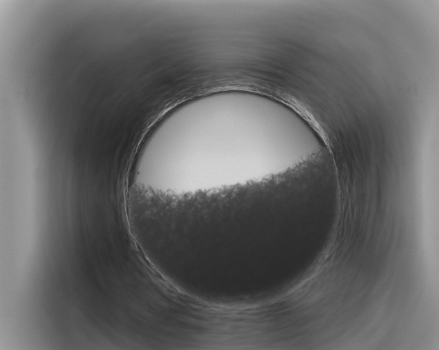 X0000116340386200912011022