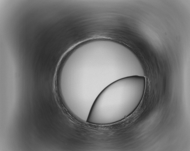 X0000116340388200912011022