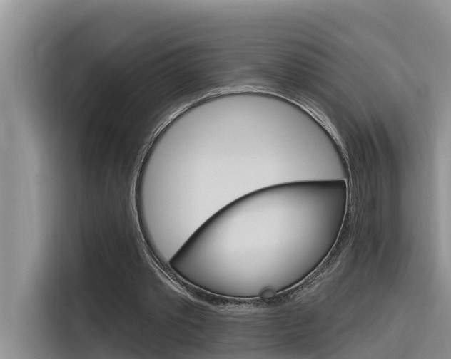 X0000116340389200912011022