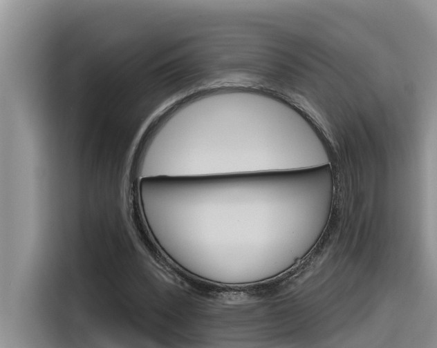 X0000116340392200912011022