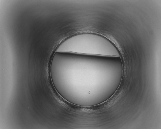 X0000116340393200912011022