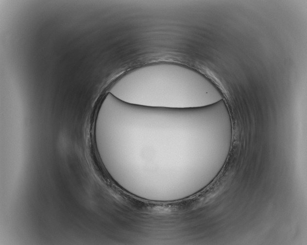 X0000116340394200912011022