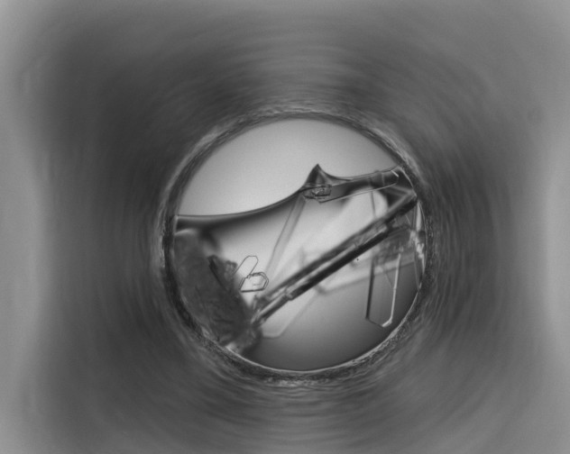 X0000116340395200912011022