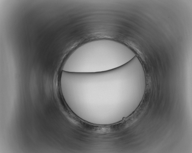X0000116340398200912011022