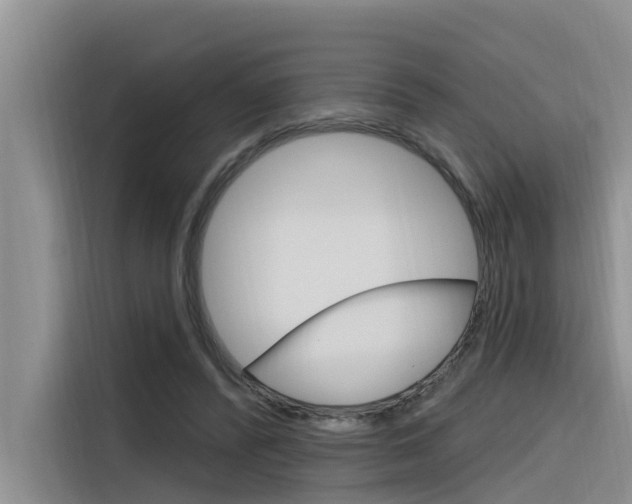X0000116340400200912011022