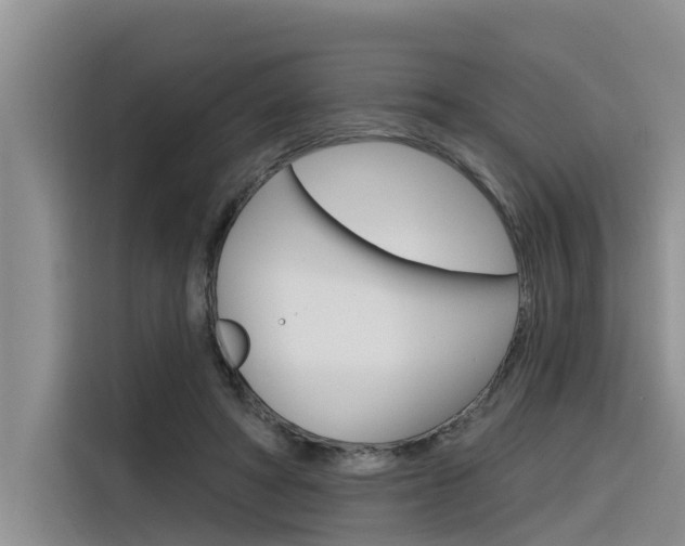 X0000116340402200912011022